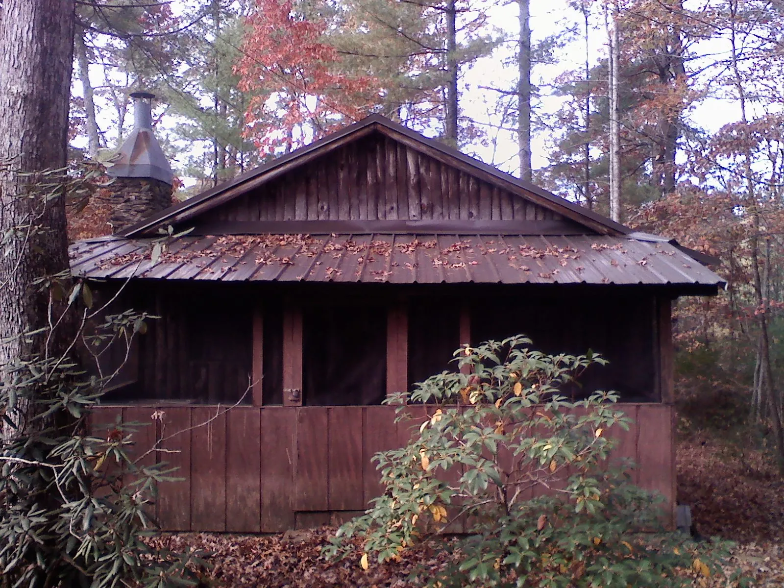 Metal roof over the screened porch of a rustic cabin in Presto