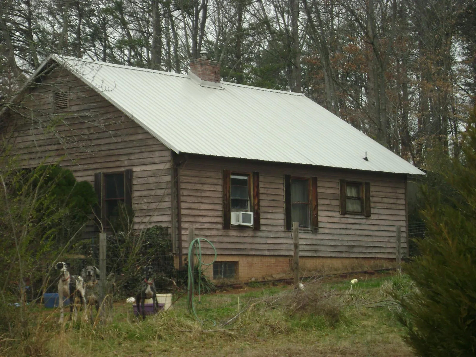 White metal roof on an old wood sided farmhouse, from a Asphalt Shingle Roof Repair job in Presto